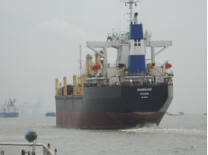 Cargo Ship