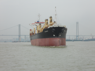 Global Shipping